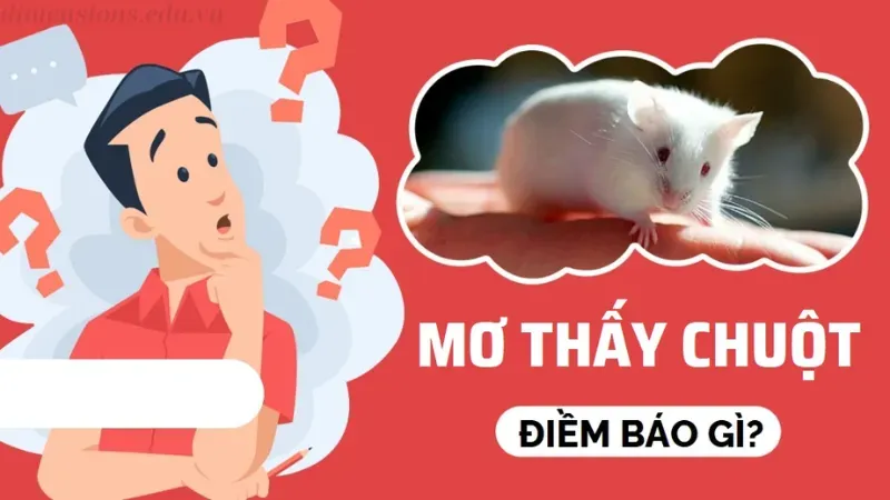 Giải mã giấc mơ thấy chuột và Con số nào may mắn cùng Sin88