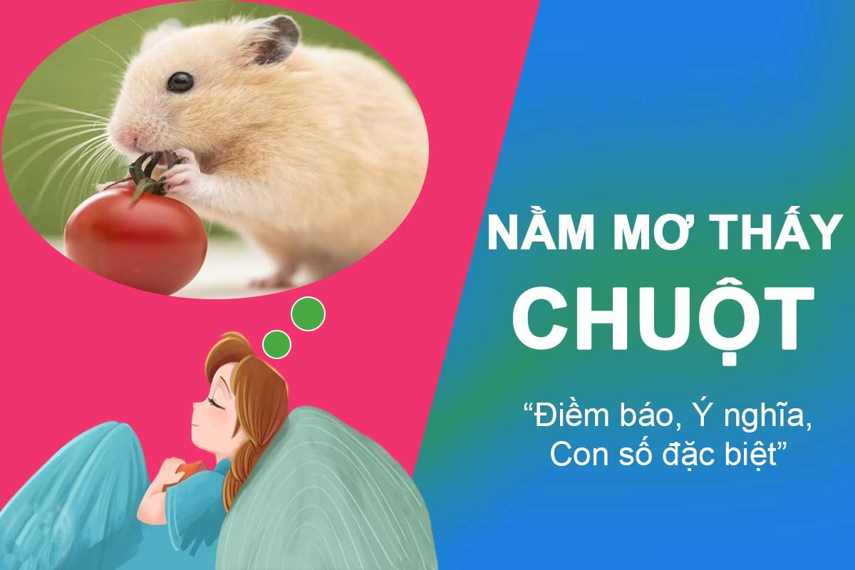 Giải mã giấc mơ thấy chuột và Con số nào may mắn cùng Sin88