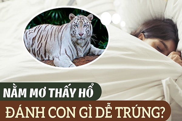 Giải Mã Giấc Mơ Thấy Hổ: Thông Điệp Tâm Linh Và Con Số May Mắn Tại Sin88