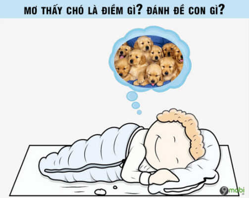 Mơ Thấy Chó Đánh Con Gì Để Trúng Lớn? Cùng Sin88 Giải Mã Chi Tiết