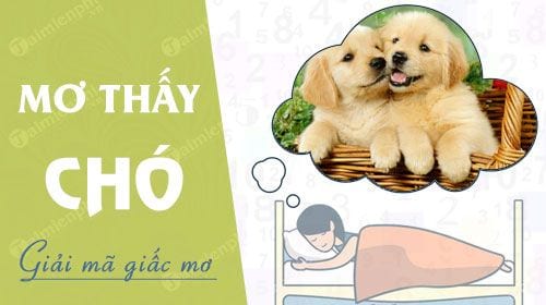 Mơ Thấy Chó Đánh Con Gì Để Trúng Lớn? Cùng Sin88 Giải Mã Chi Tiết